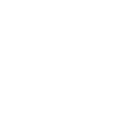 Proyecto Nogal